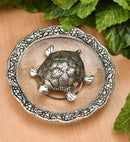 Turtle with Glass Plate gift set