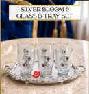 German silver Tray & glass set